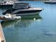 Quicksilver 805 Sundeck 2016 4. fotoğraf